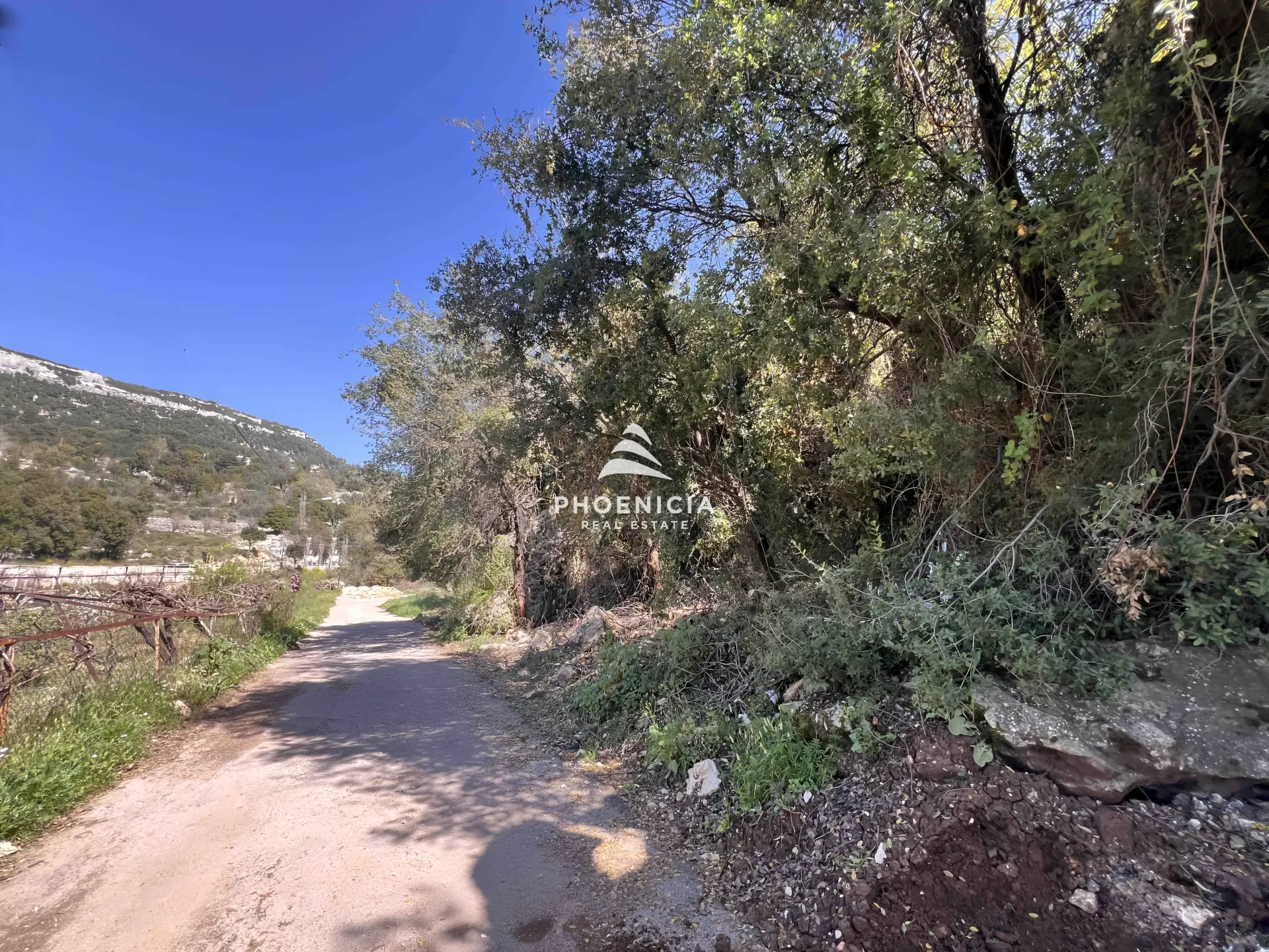 Land for Sale in Lehfed