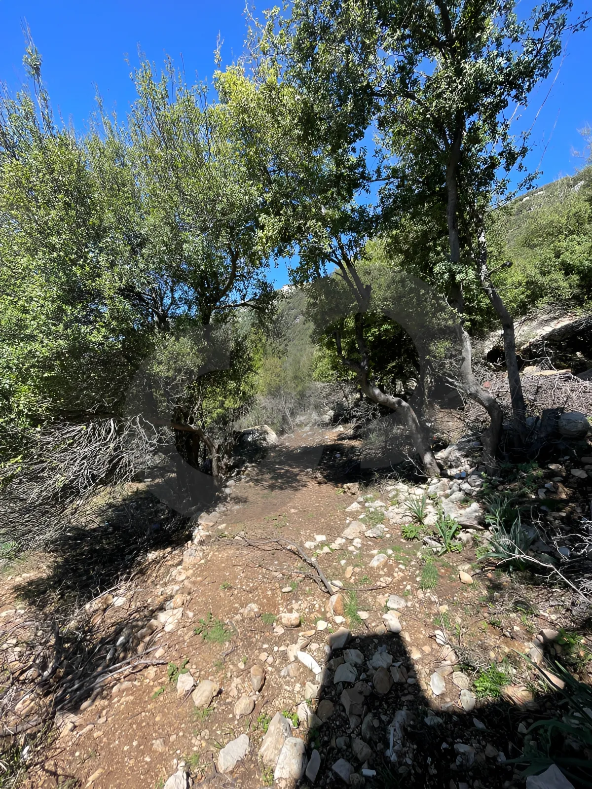Land for Sale in Ehmej