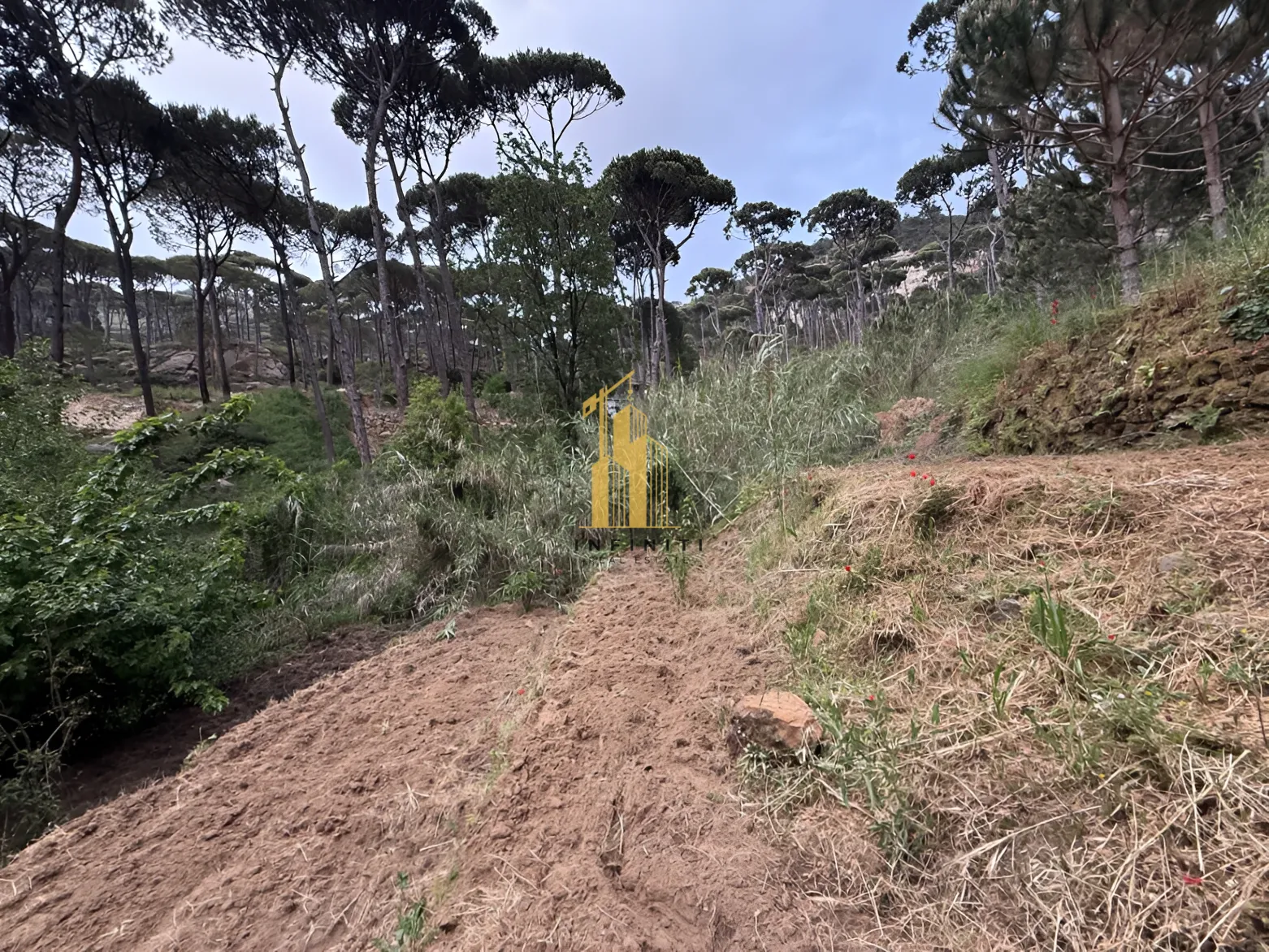 Residential Land for sale in Ighmid, Lebanon