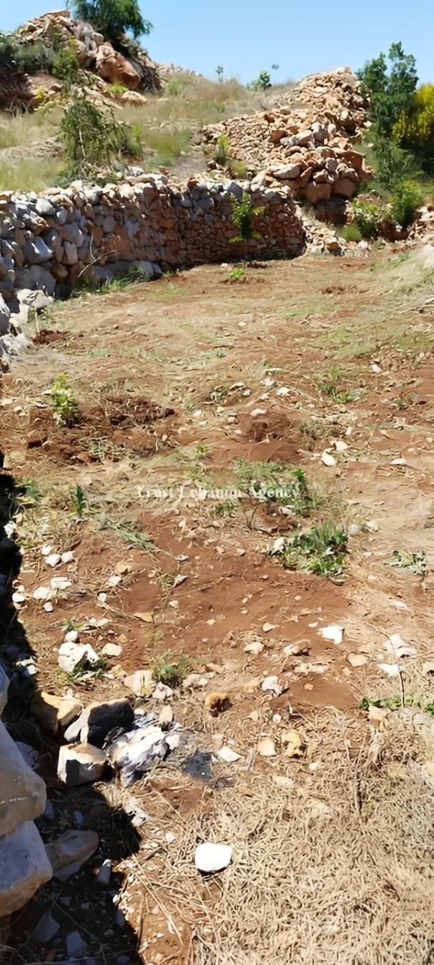Land for Sale in Nabatiye Lebanon