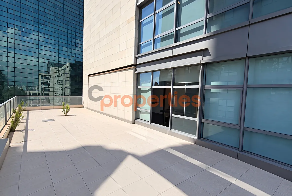Office for Rent in Adliyeh