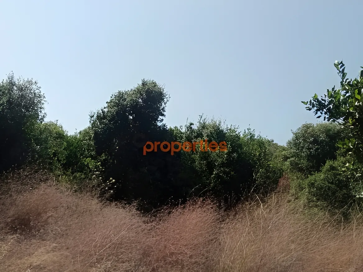 Residential Land for Sale in Edde