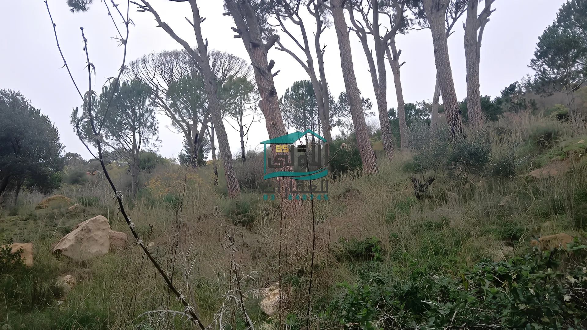Land in Daqqoun, lebanon