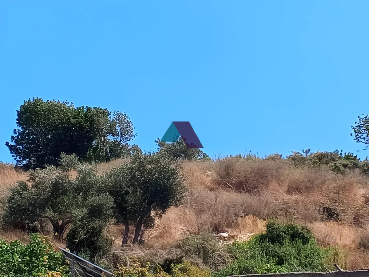 Land for Sale in Batroun