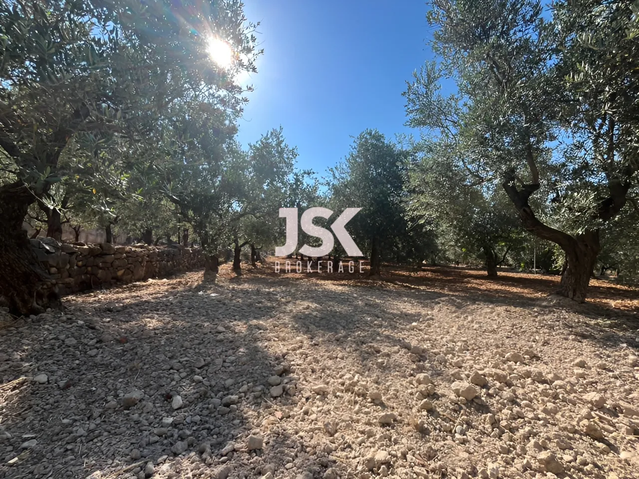 Land for Sale in Koura
