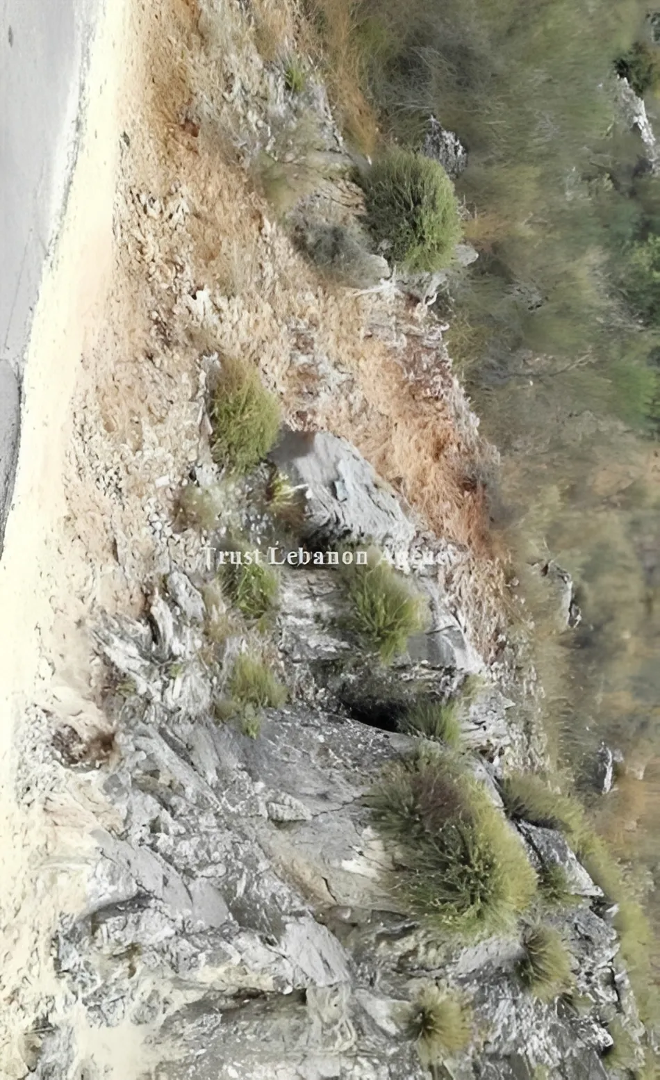 Land for Sale in Keserwan Nahr el Dehab