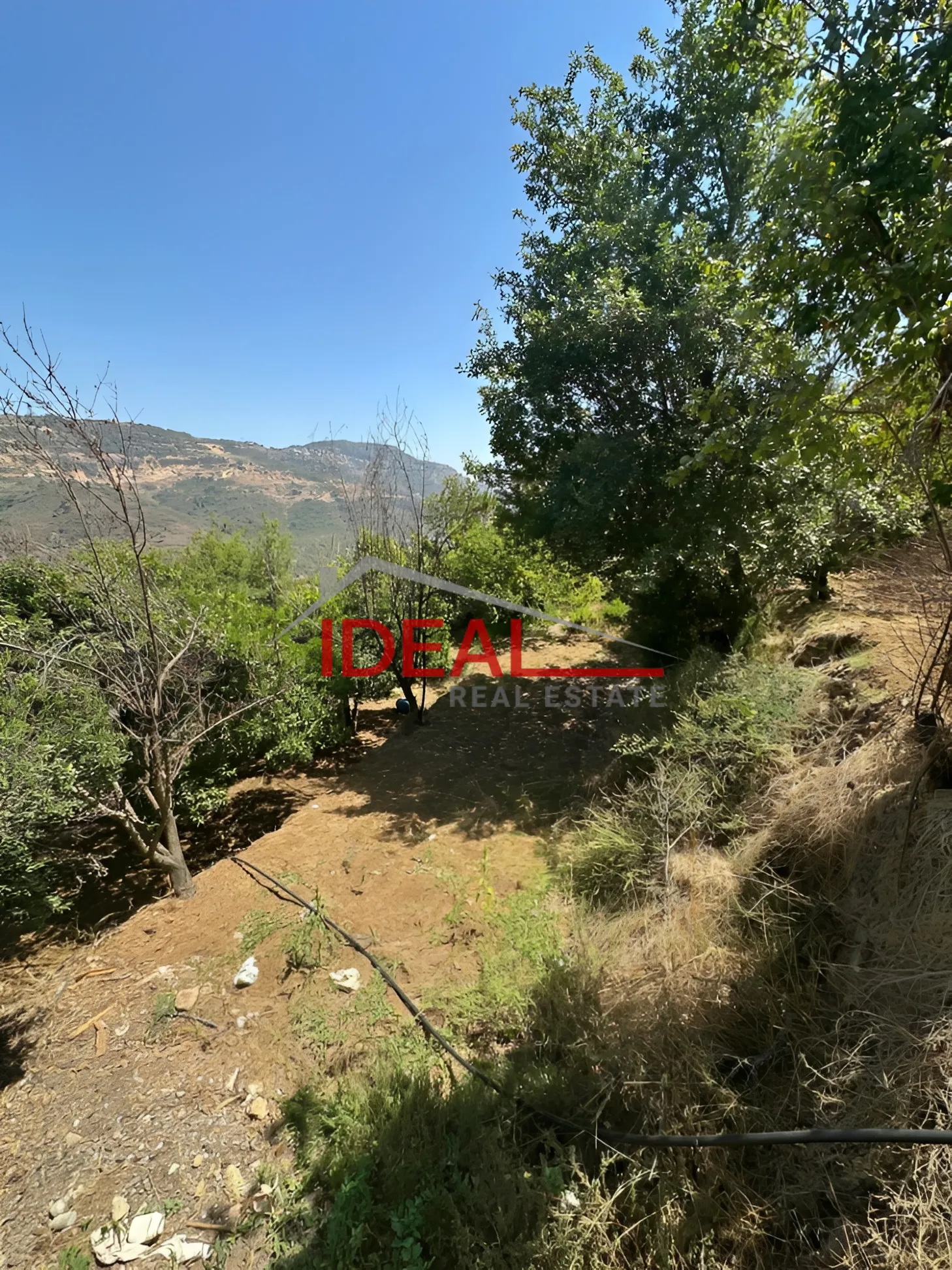 Land for Sale in Dmit, Lebanon