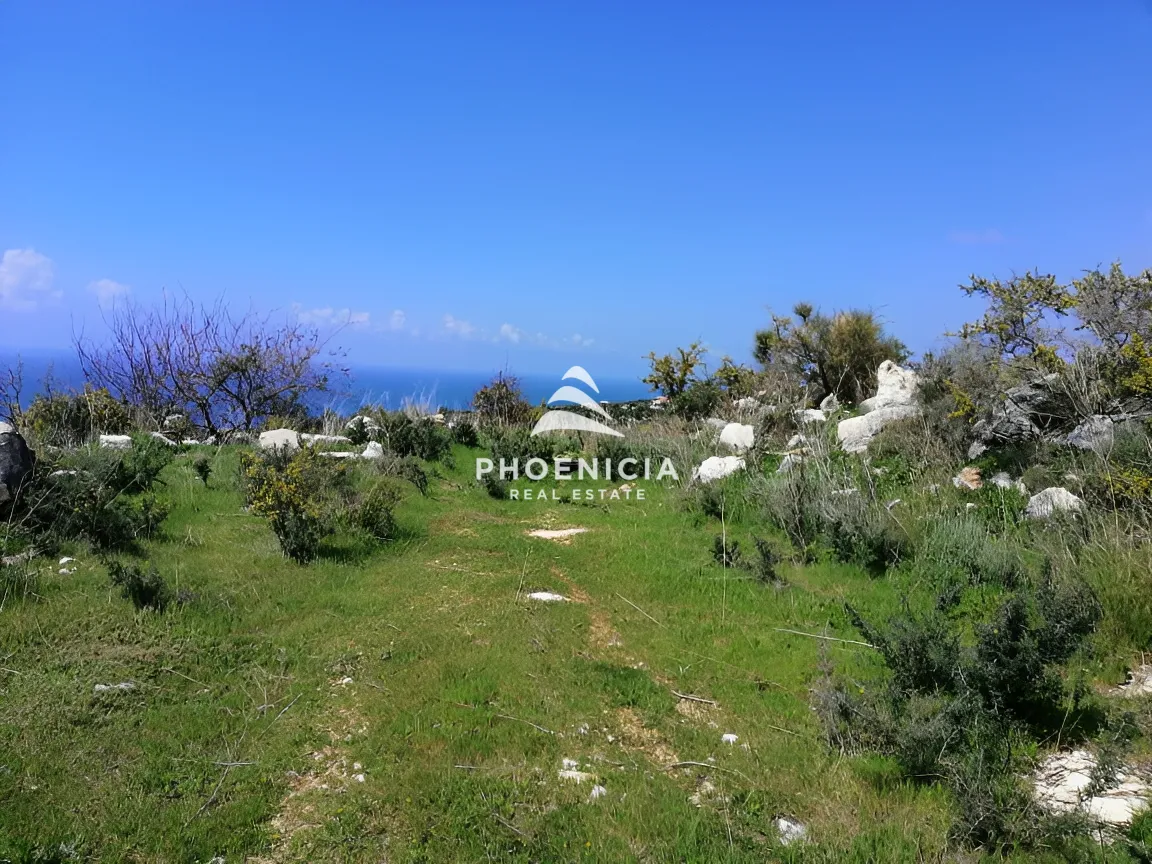 Land for sale in Chikhane, Jbeil, Lebanon