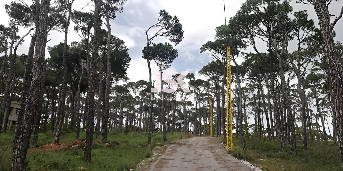 Land for Sale in Bolonia, Mrouj
