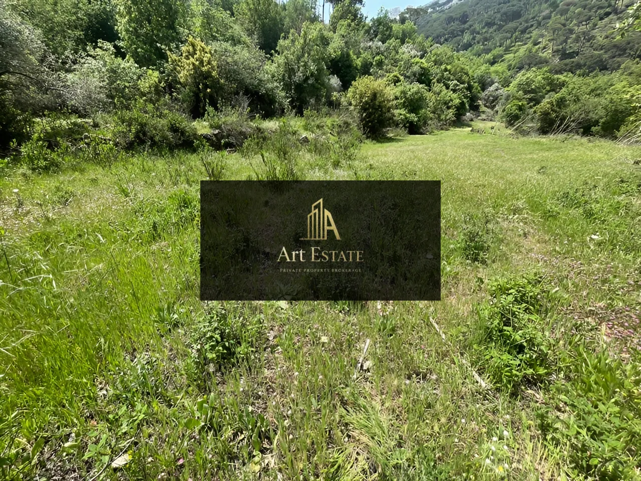 Land for sale in Ras el harf, lebanon