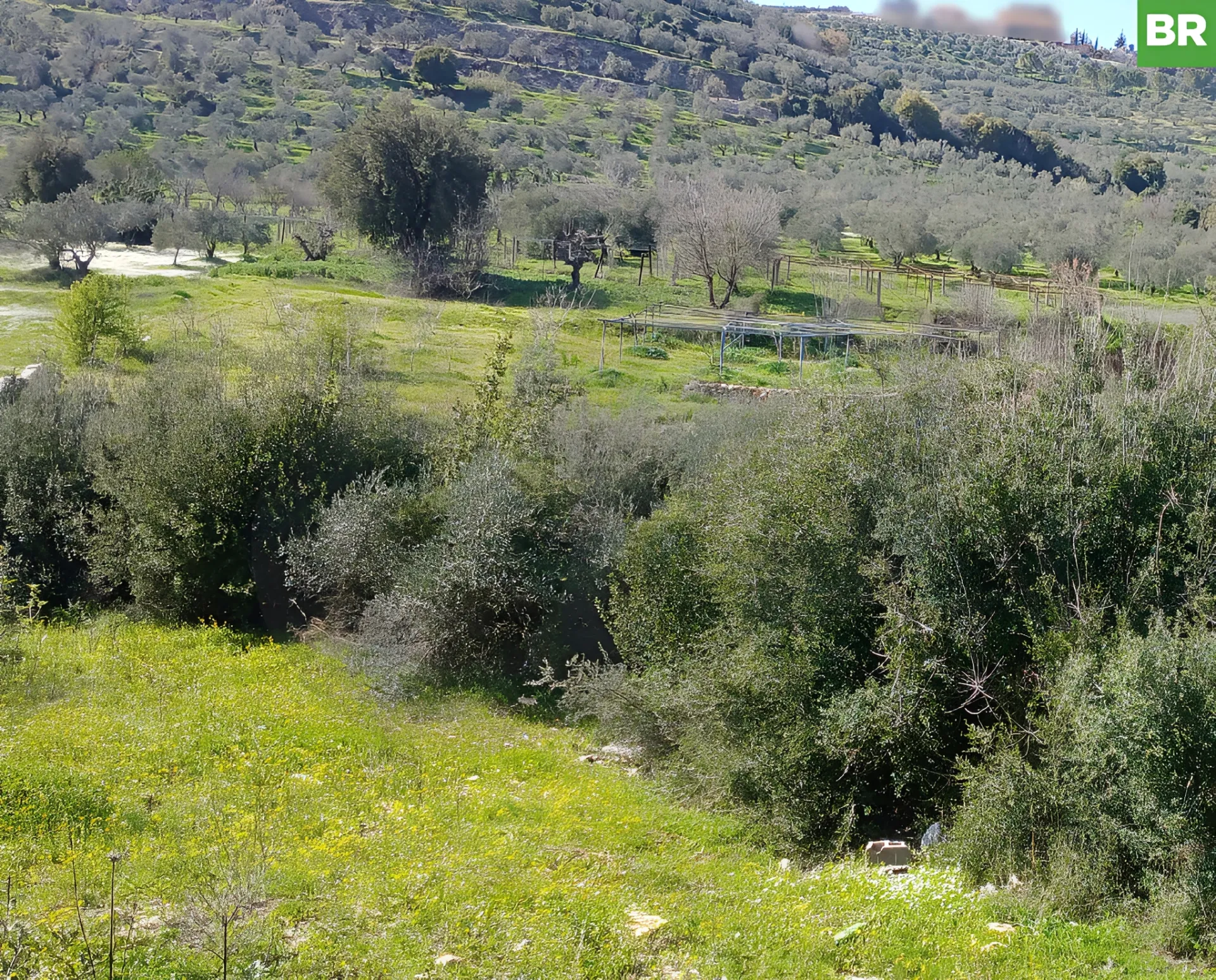Land for Sale in Koura