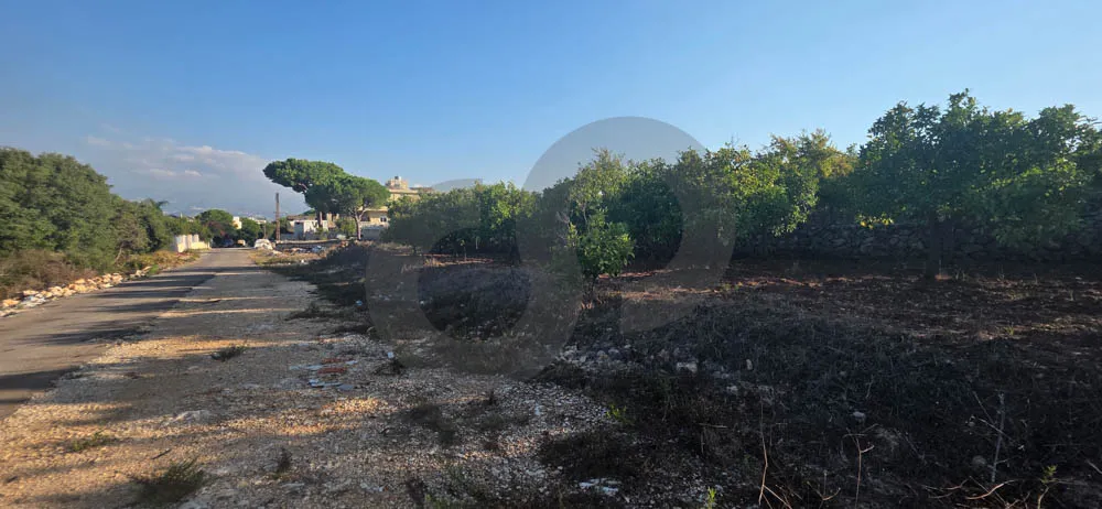 Land for Sale in Koura