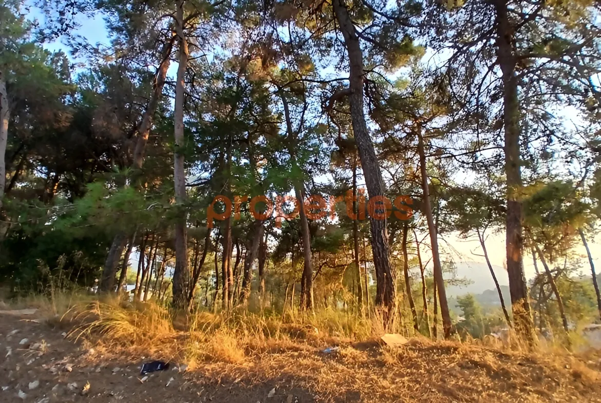 Residential Land for Sale in Baabdat