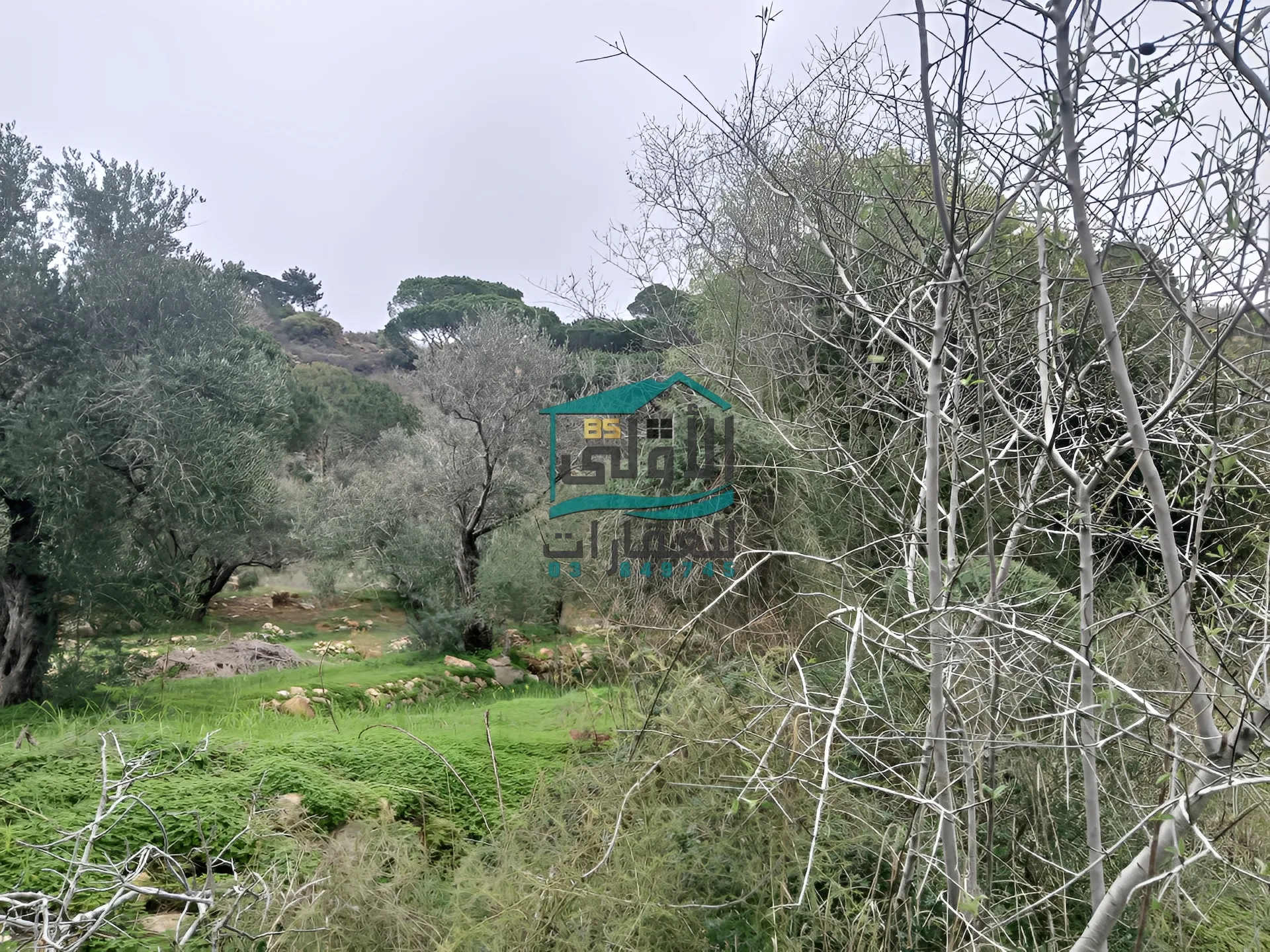 Land in Daqqoun, lebanon