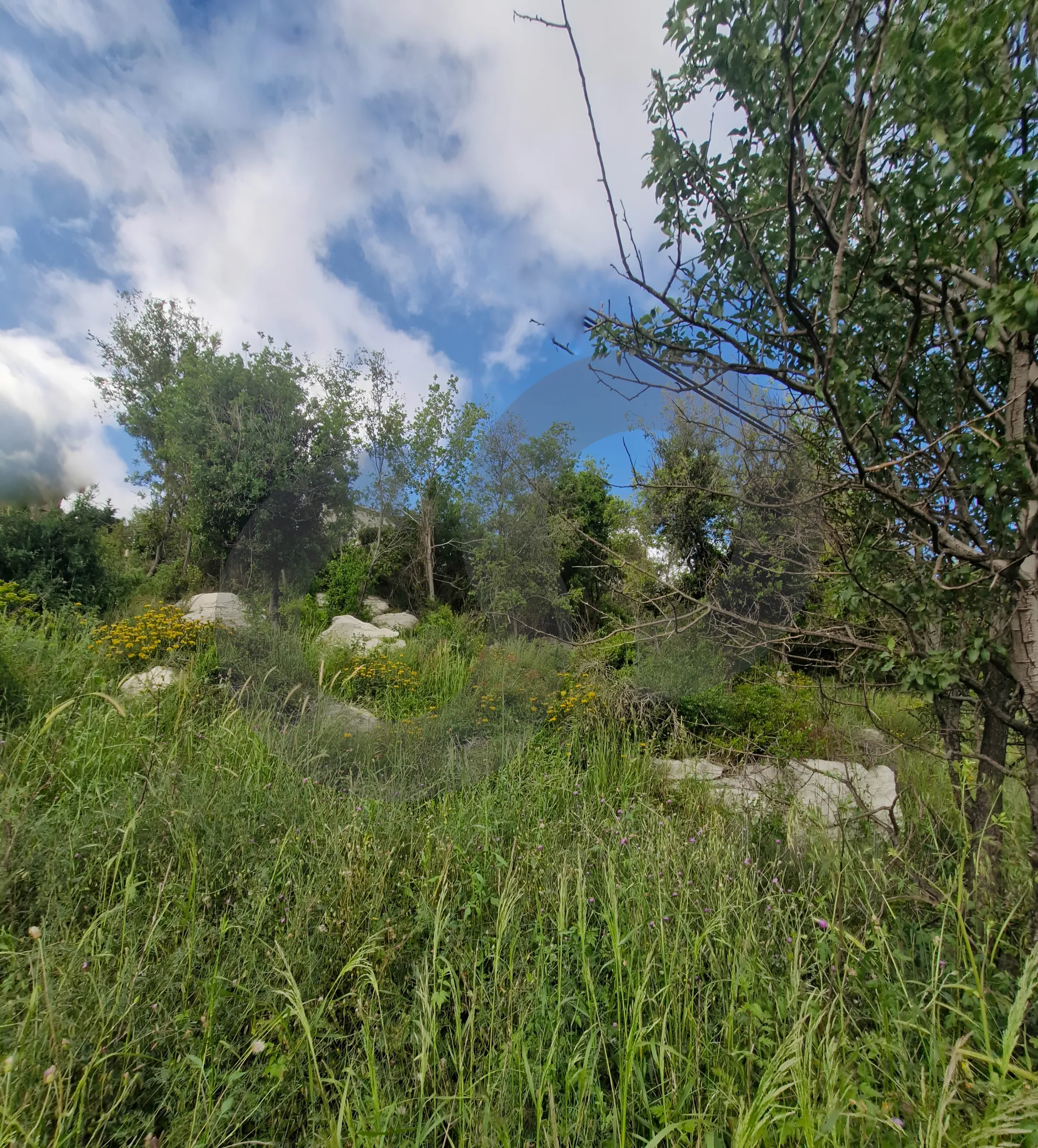 Land for Sale in Breij