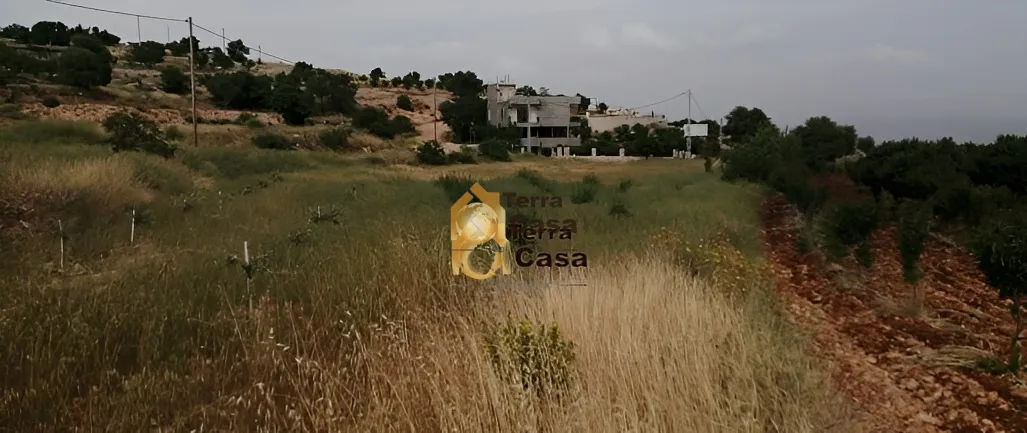 Land for Sale in Wadi el Arayesh 1262 Sqm