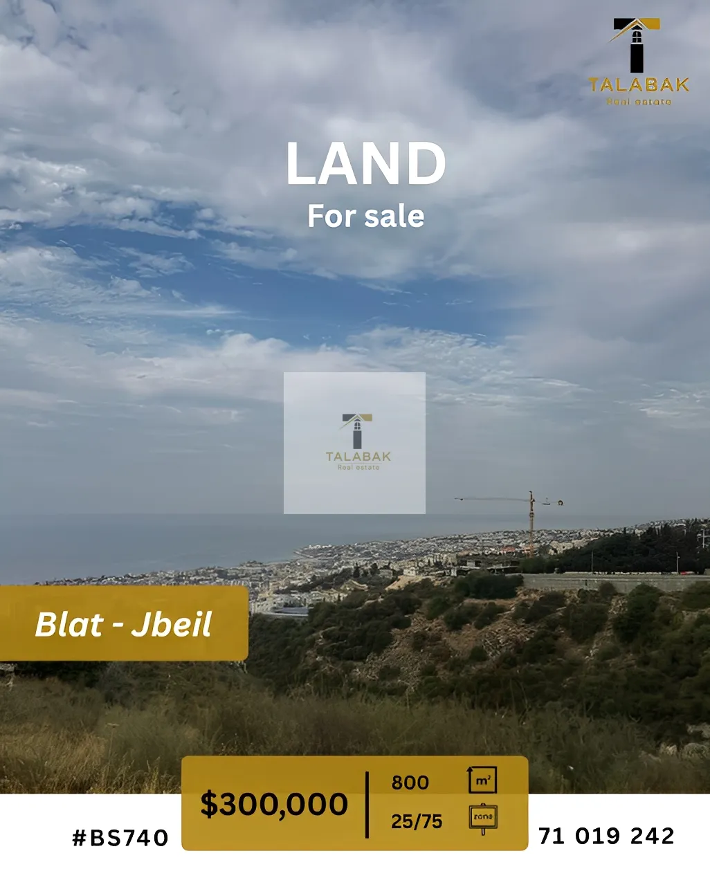 Land for Sale in Blat, Lebanon