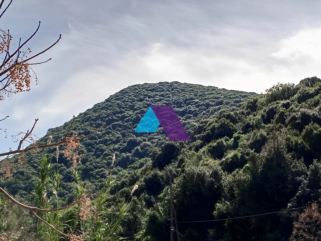 Land for Sale in Batroun
