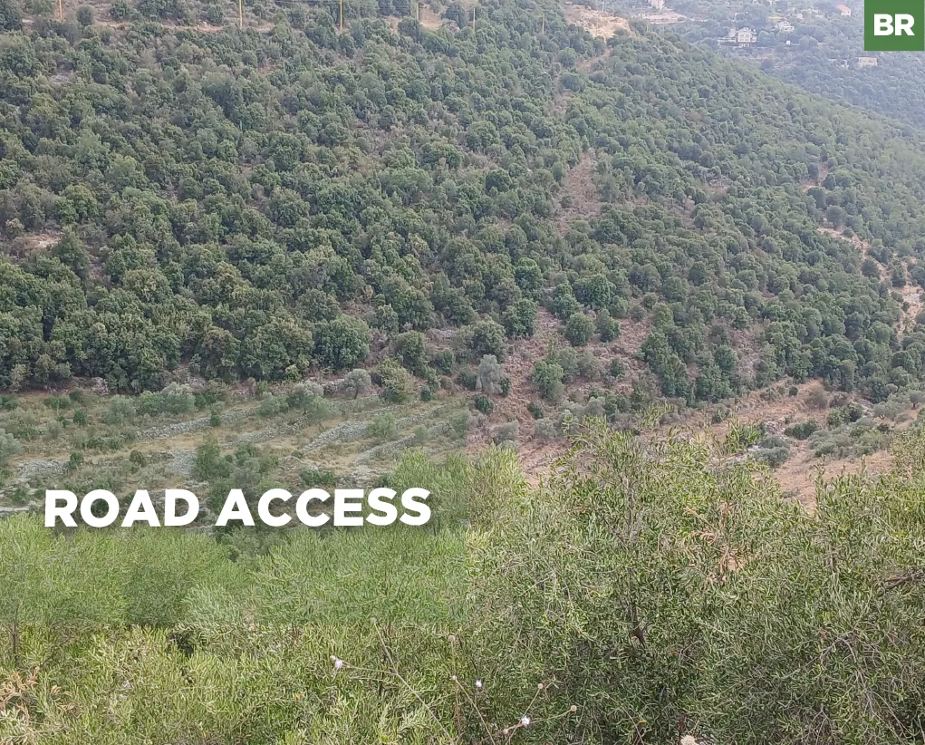 Land for Sale in Batroun