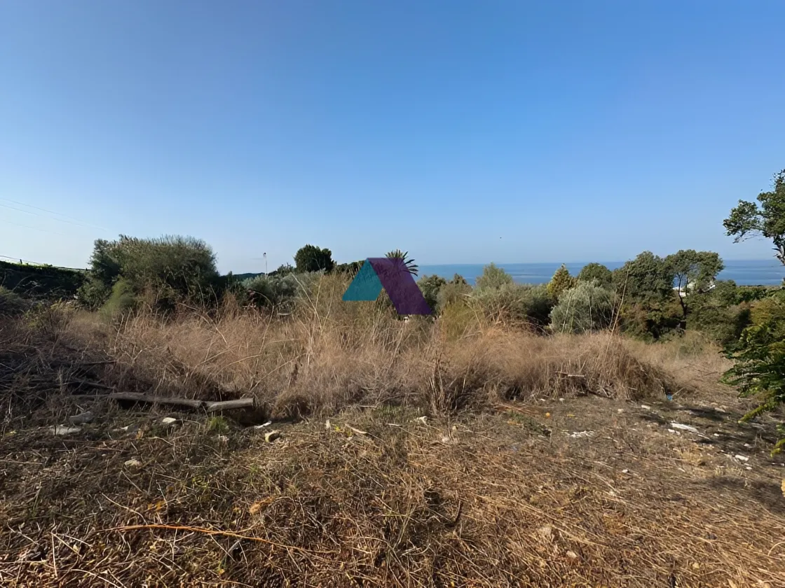 Land for Sale in Berbara