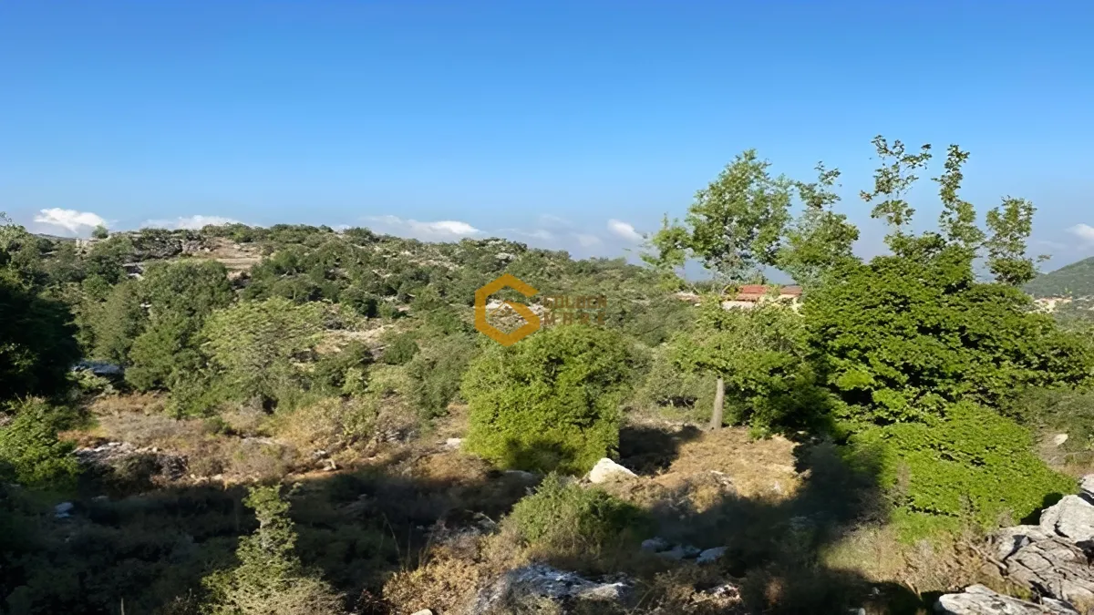 Land for Sale in Mechmech