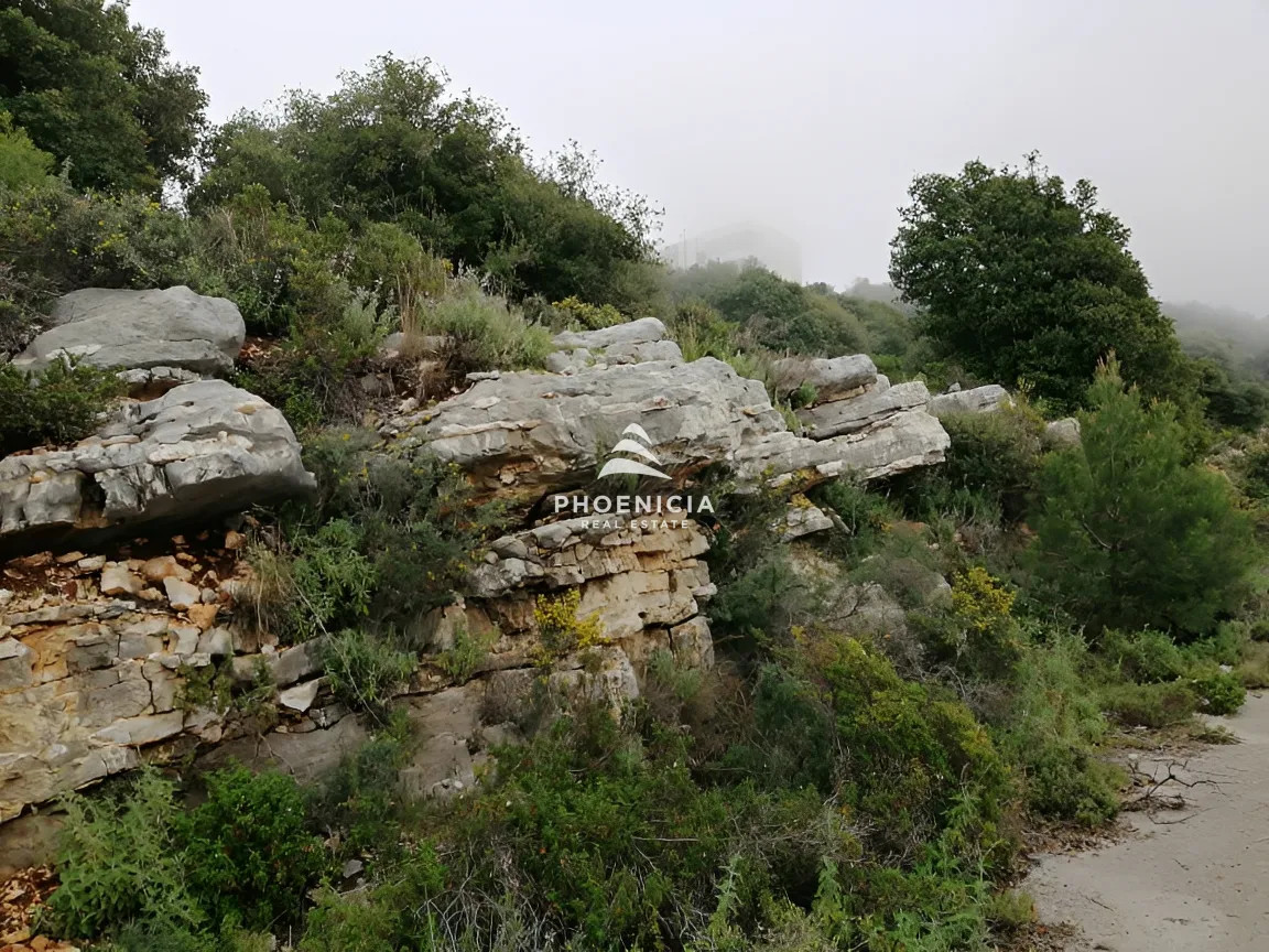 Land for Sale in Blat