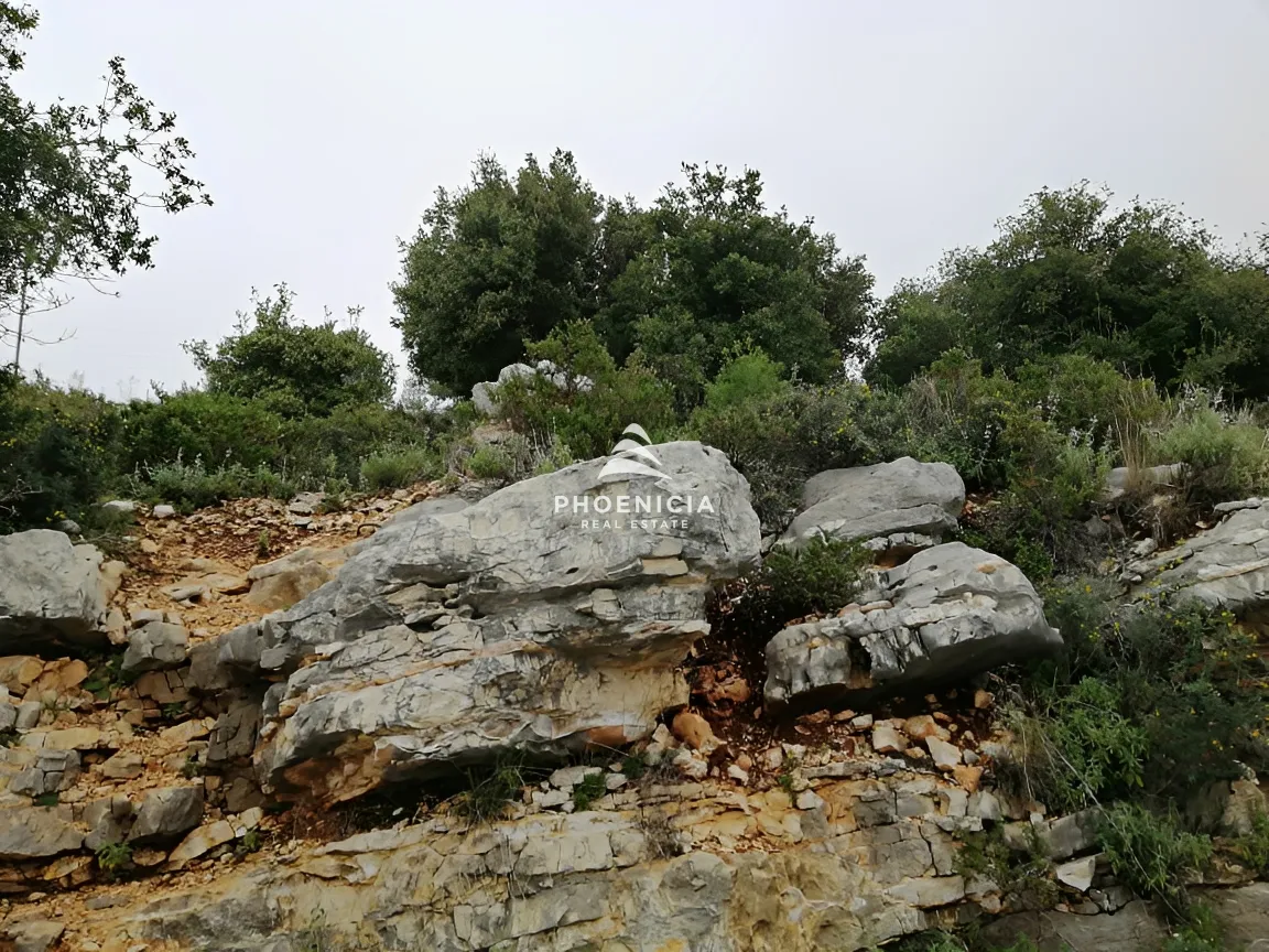 Land for Sale in Blat