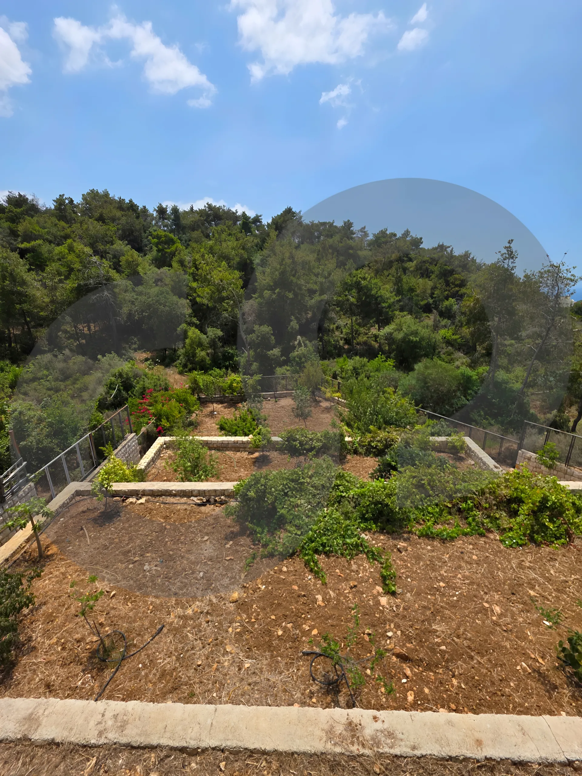 Villa for Sale in Mechref