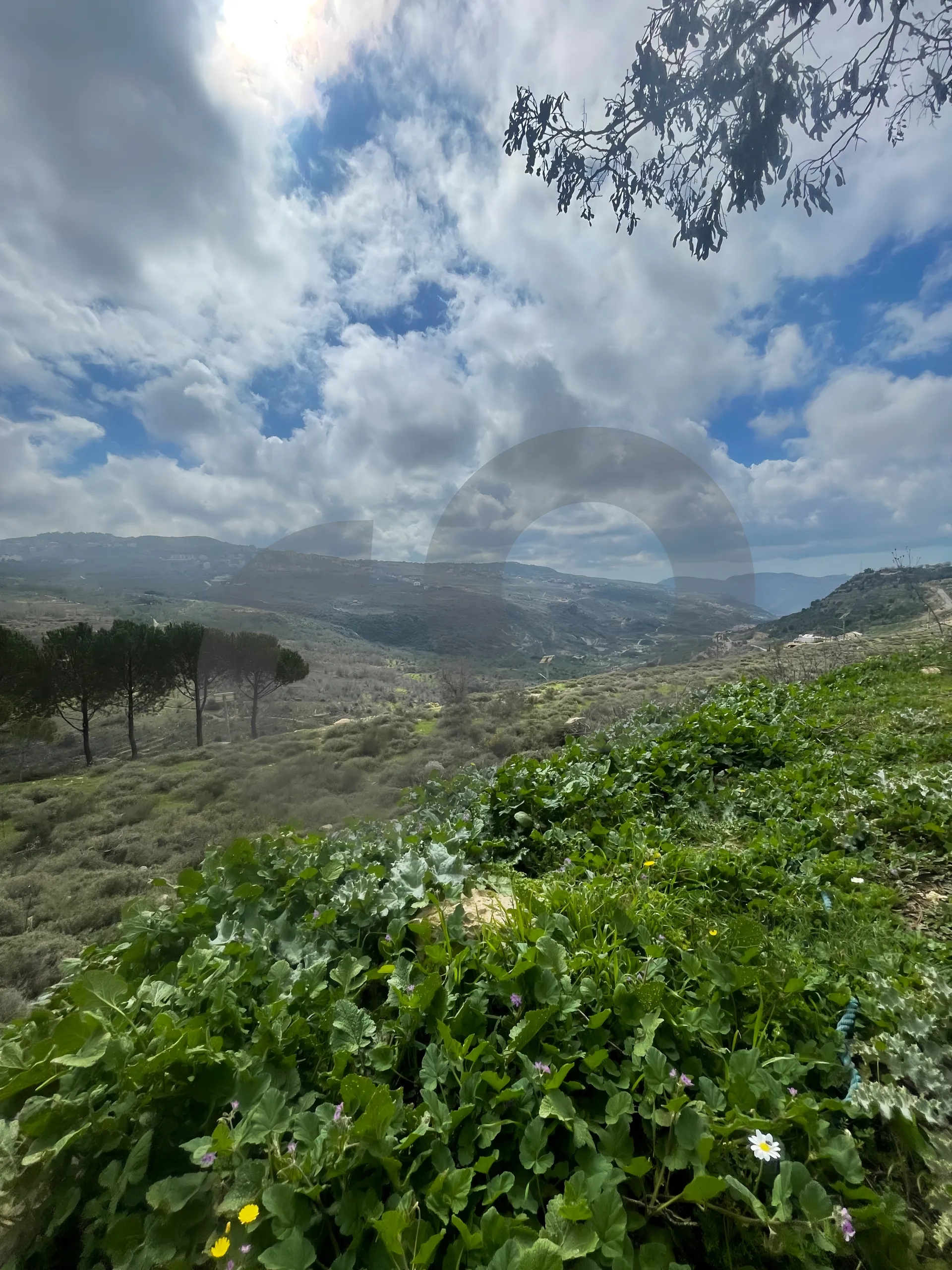 Land for Sale in Bhamdoun