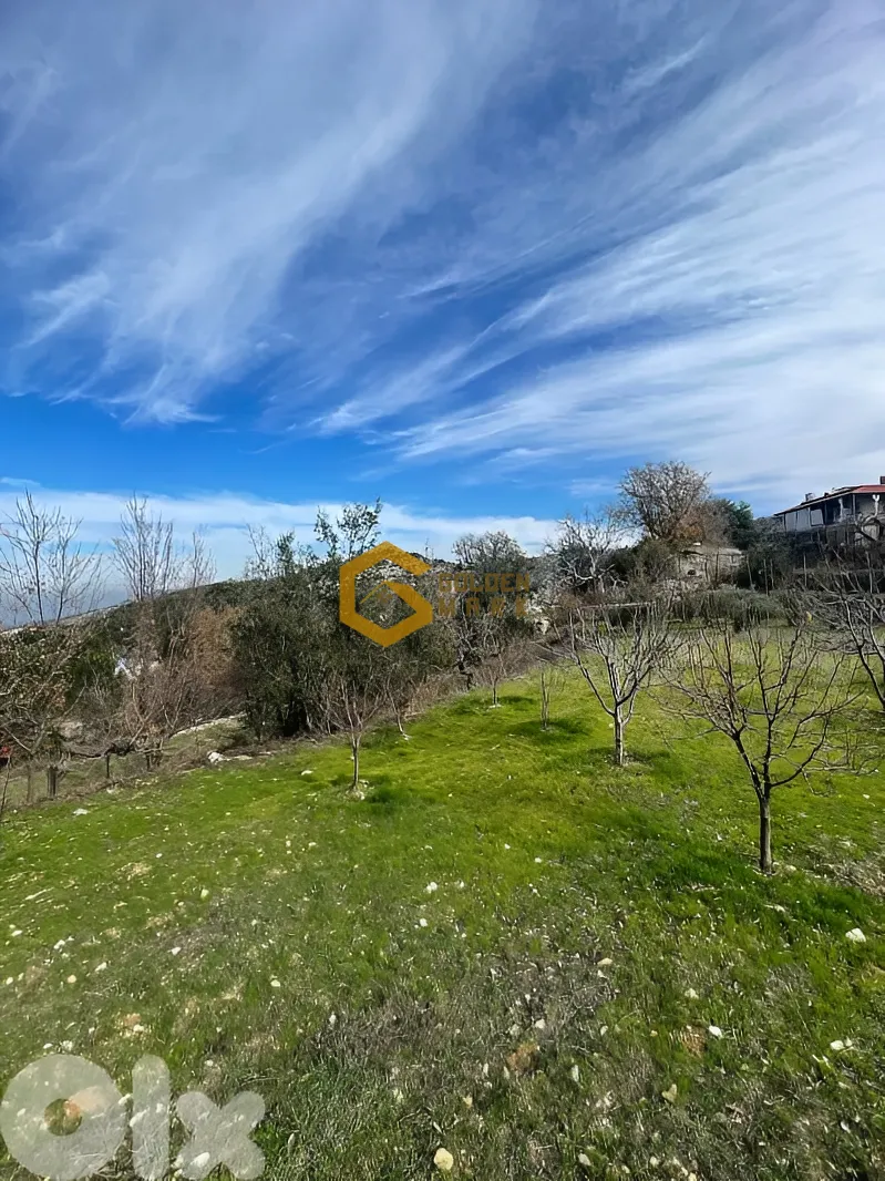 Land for Sale in Maifouq