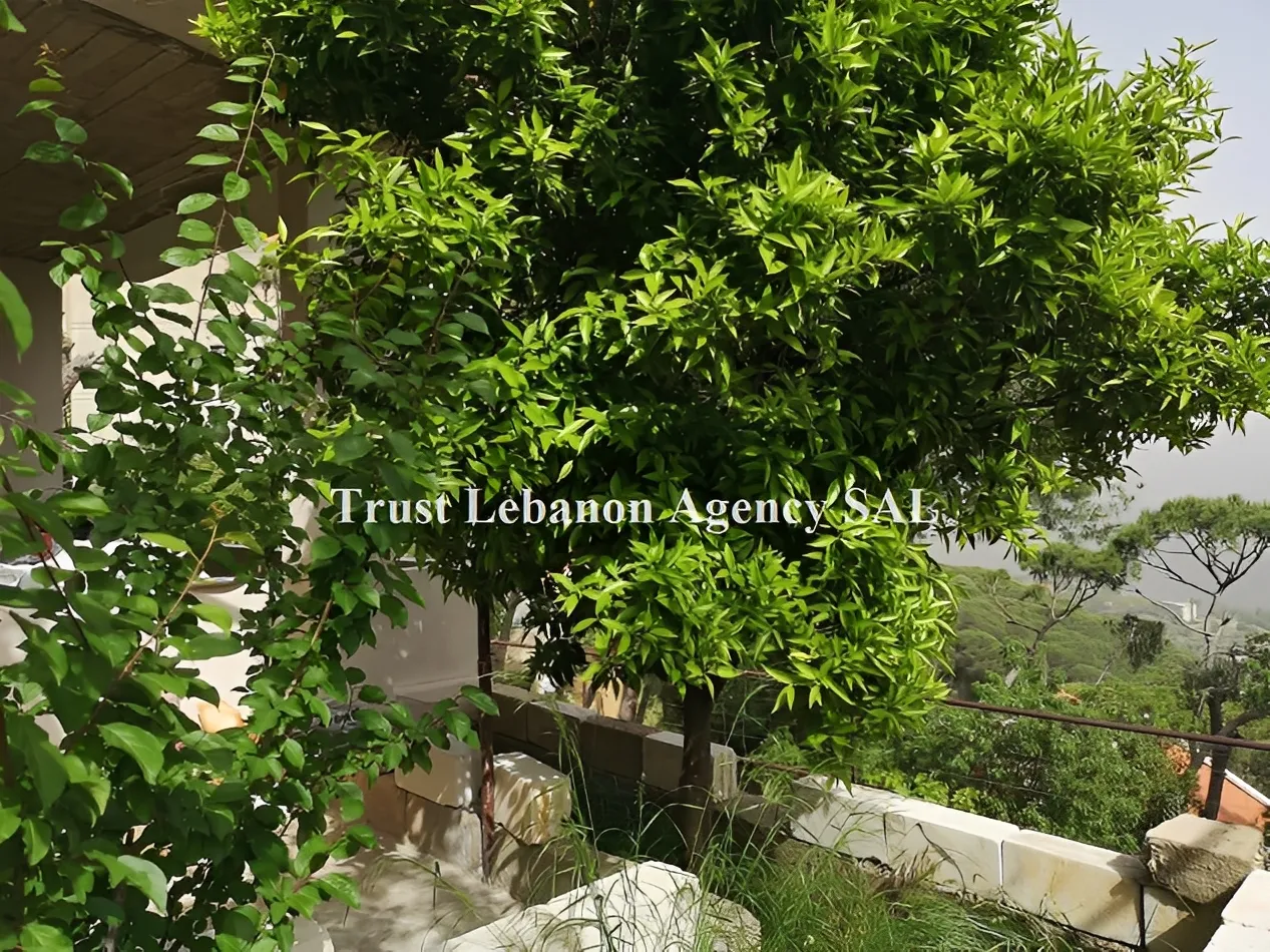 Apartment for Sale in Metn Broumana ُEl Ghabeh Lebanon