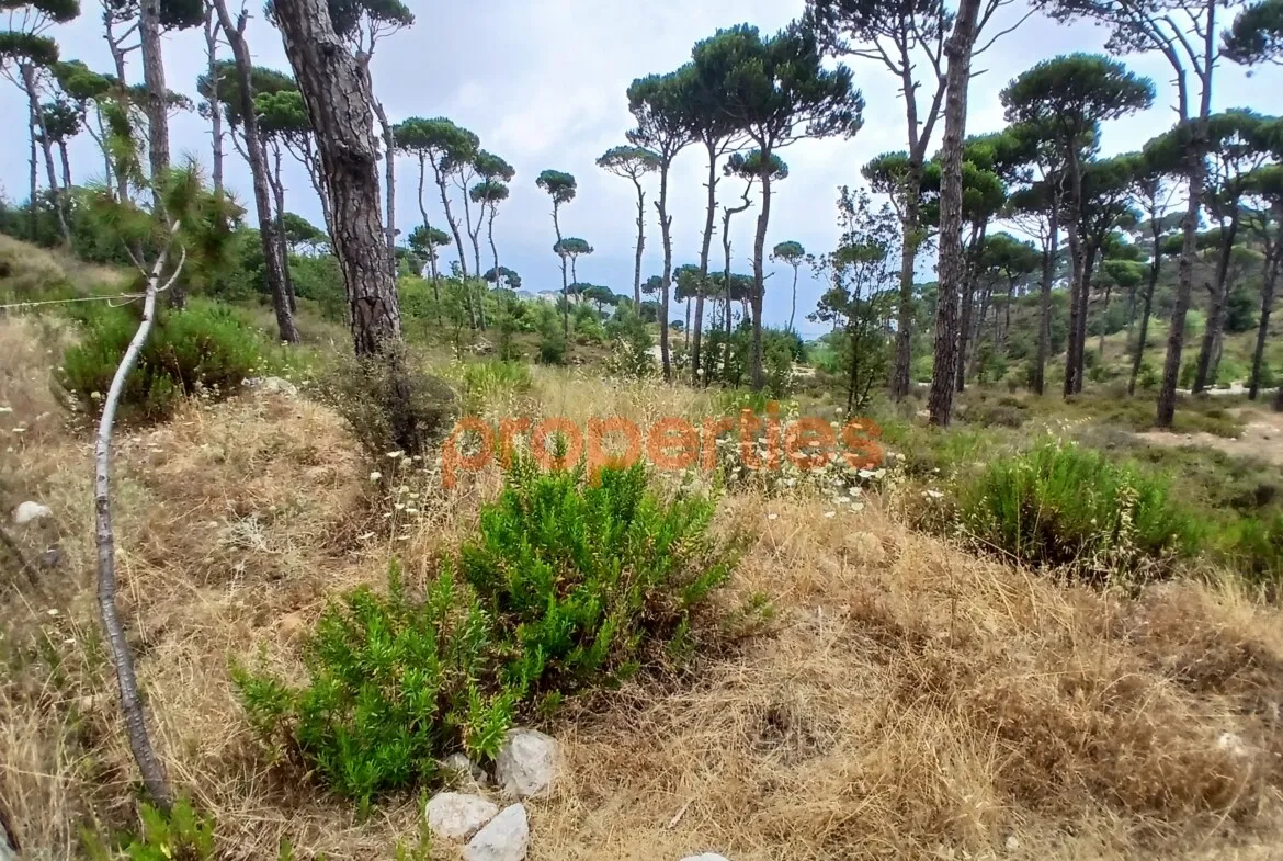 Residential Land for Sale in Dhour El Choueir