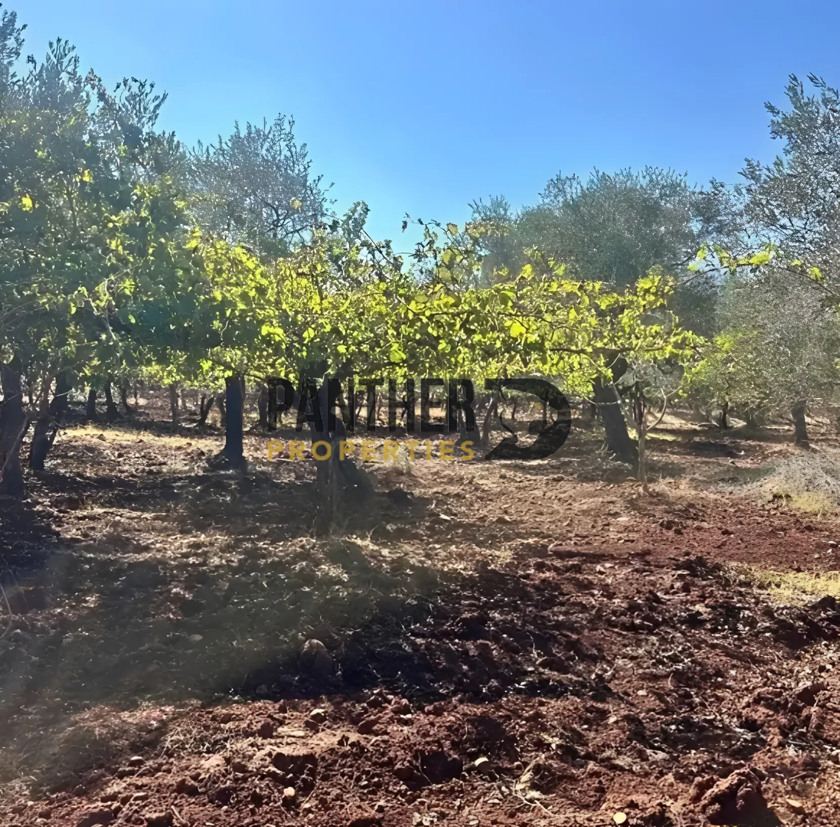Commercial Land for sale in Zgharta