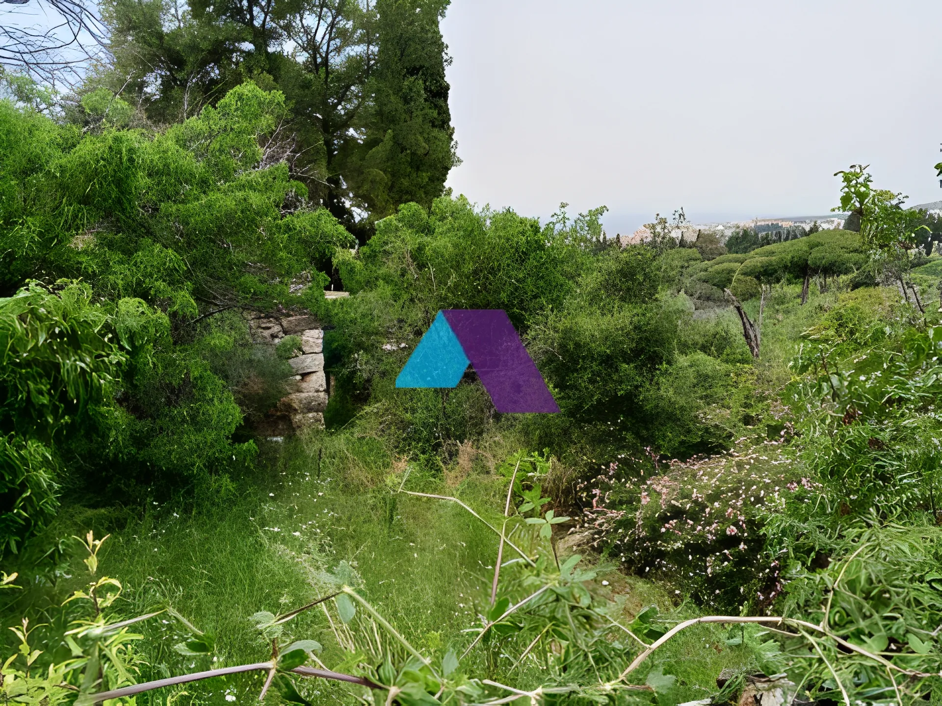 Land for Sale in Batroun