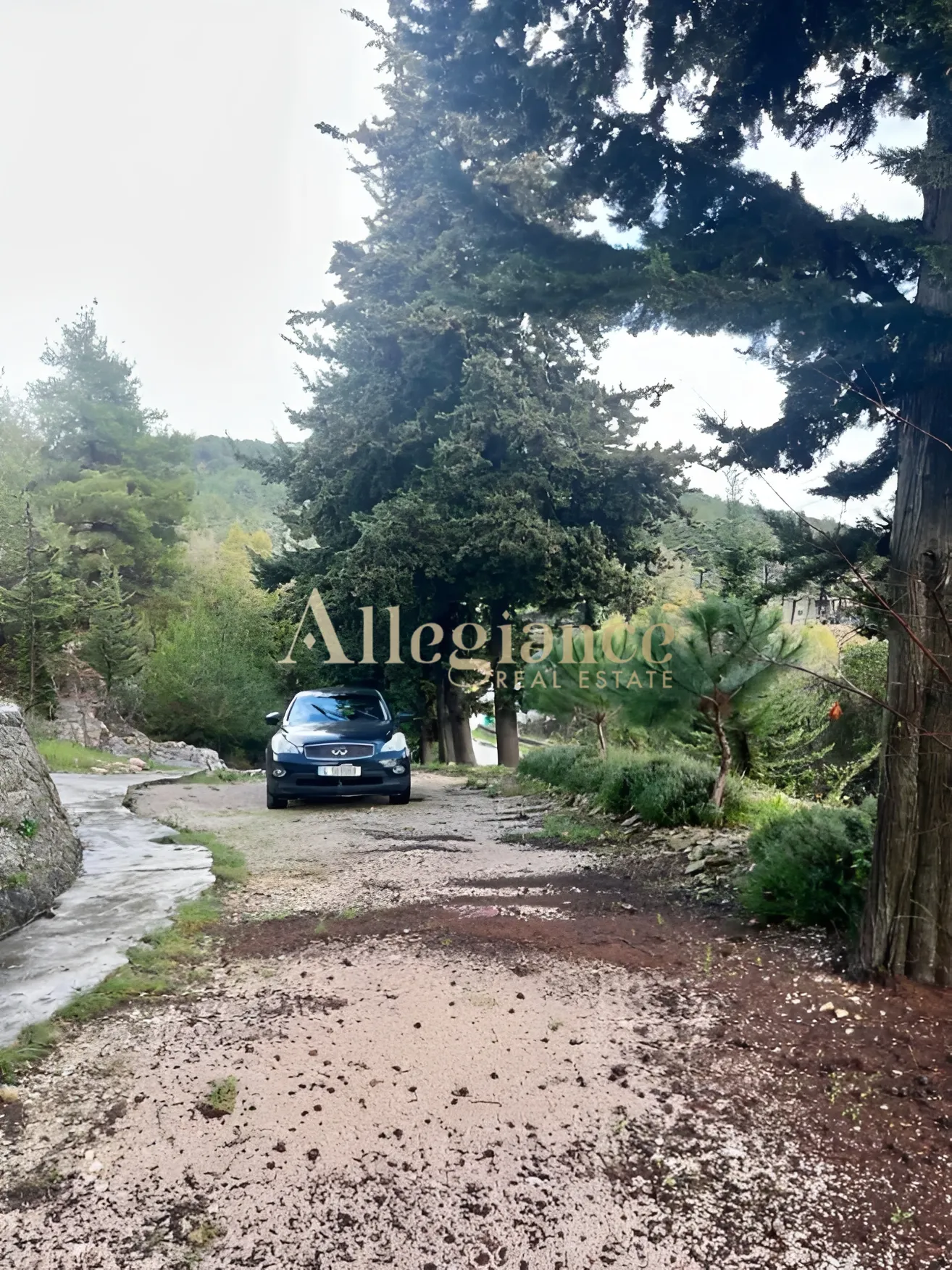 Agricultural Land for sale in Beit El Dine, Bayrut, Lebanon