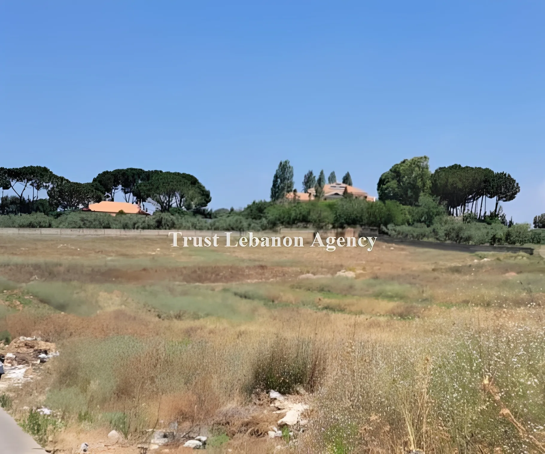 Land for Sale in Nabatiye Lebanon
