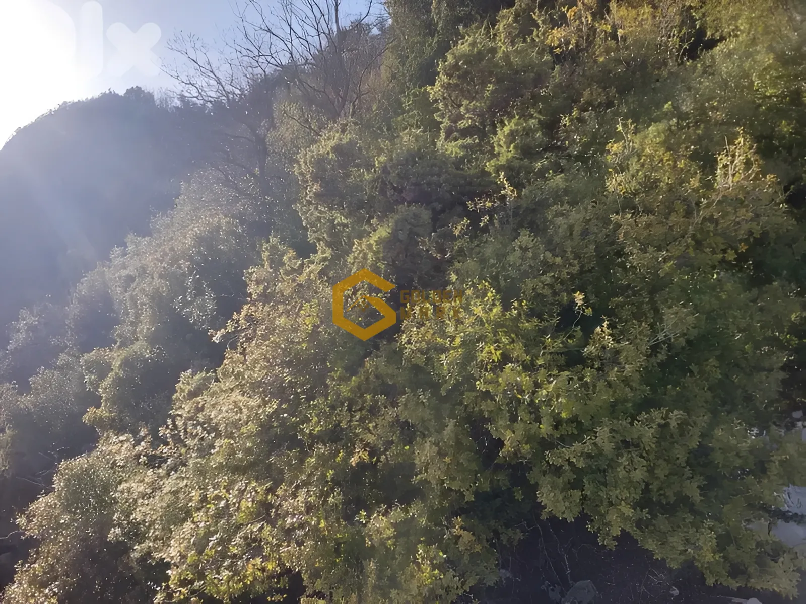Land for Sale in Ehmej