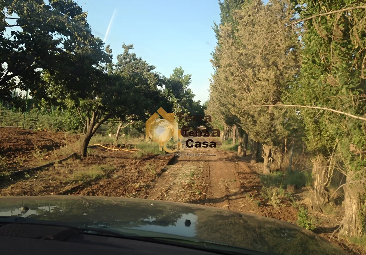 Land for Sale in Terbol