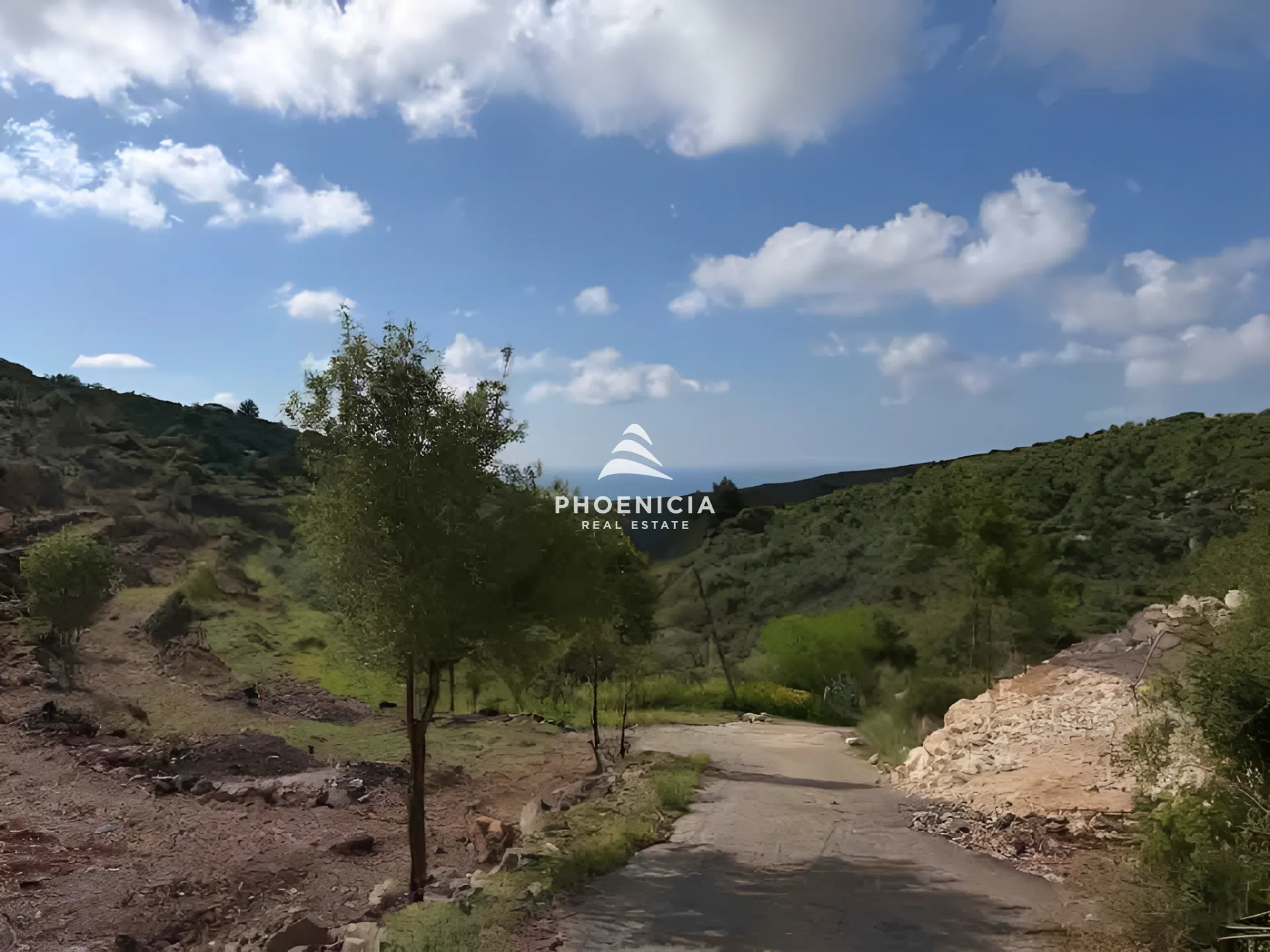 Land for Sale in Chikhane