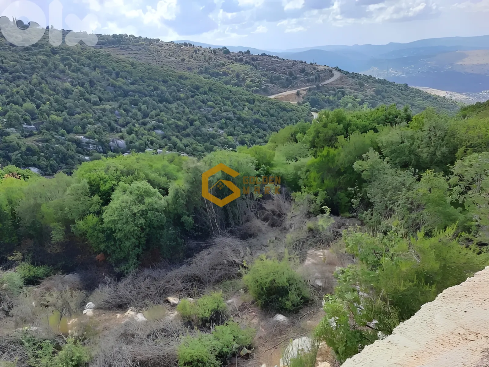 Land for Sale in Batroun