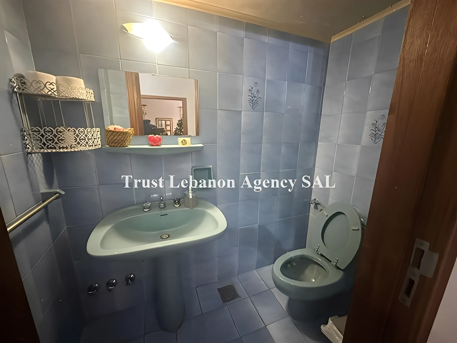 Apartment for Sale in Metn Ain saade Lebanon