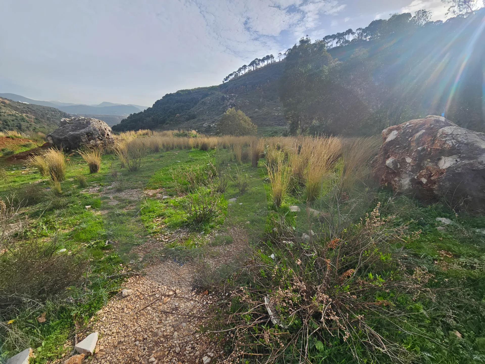 Land for Sale in Koura