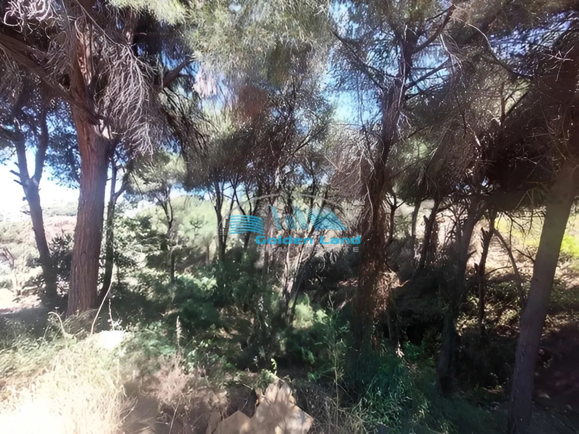 Land for Rent in Mtaileb, Lebanon