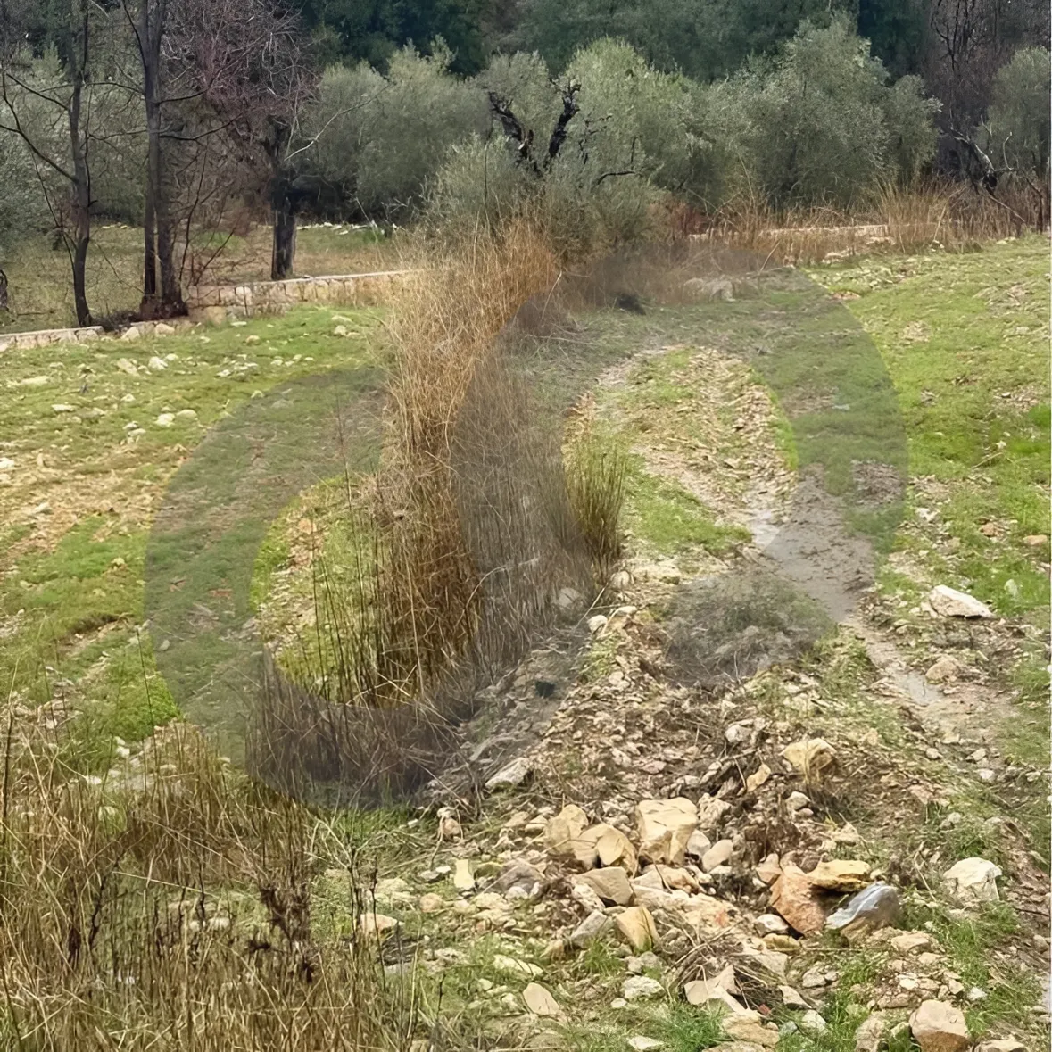 Land for Sale in Lehfed