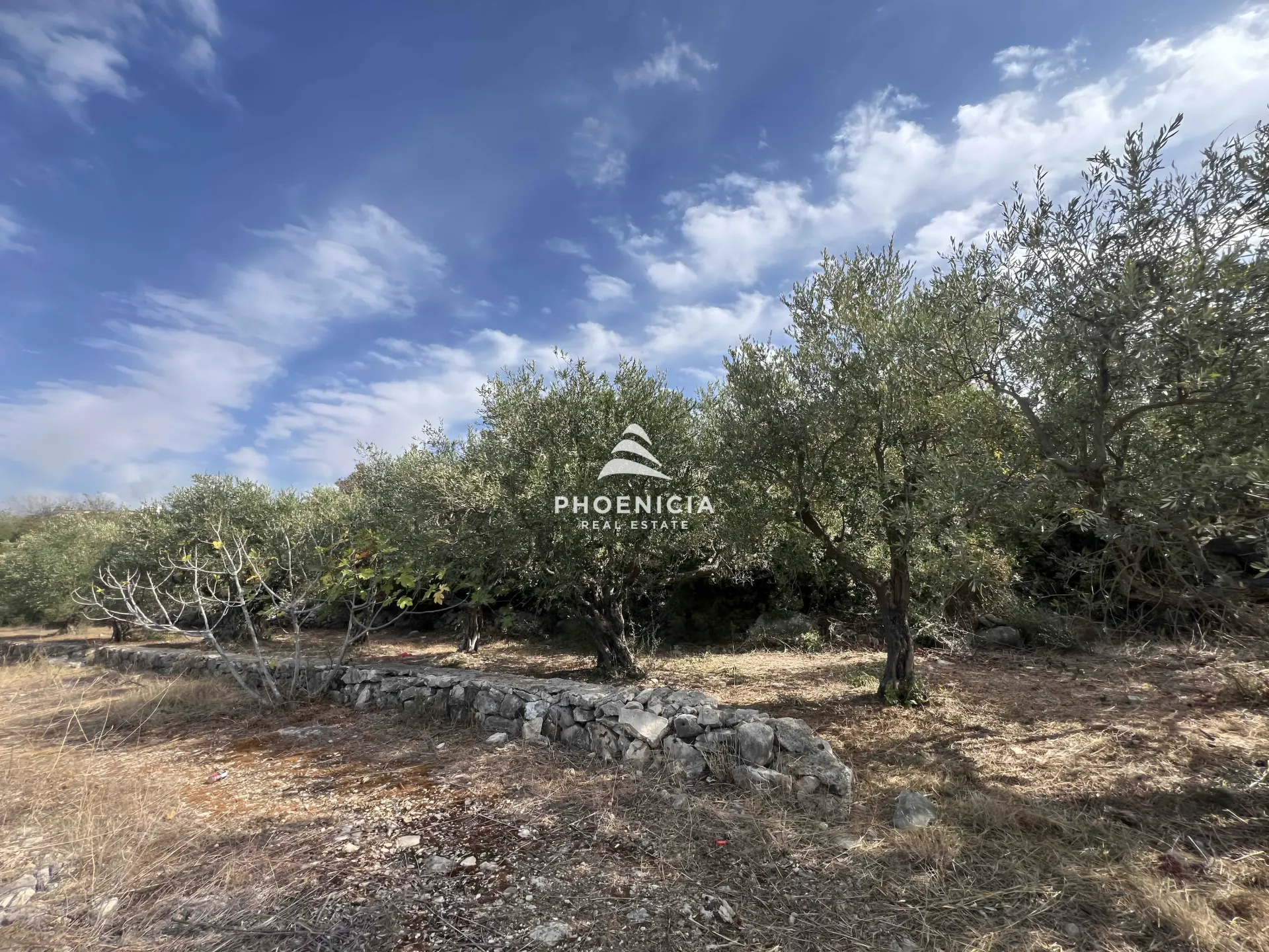 Land for Sale in Chikhane