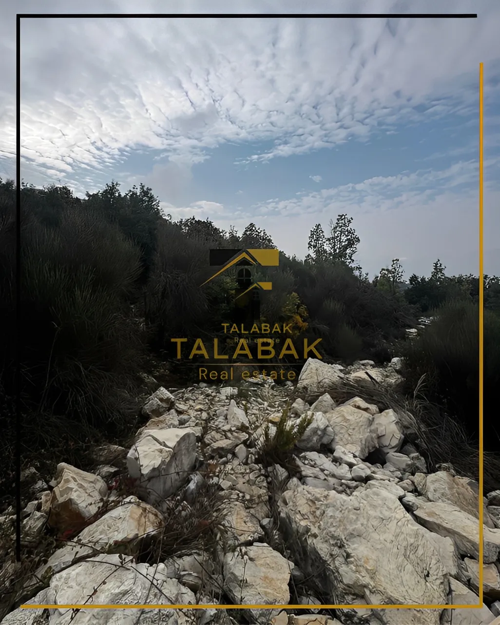 Land for Sale in Mechmech, Lebanon