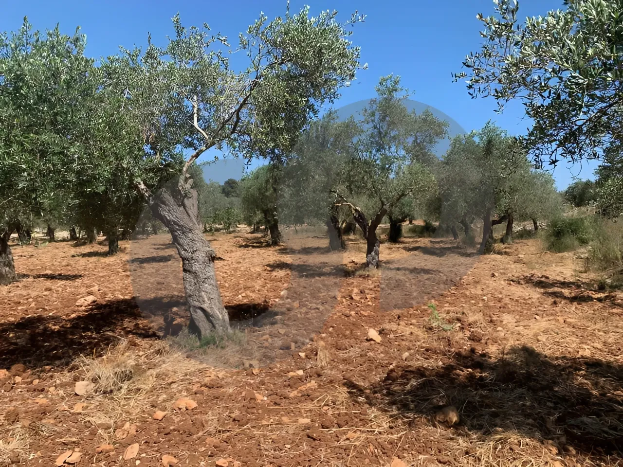 Land for Sale in Koura