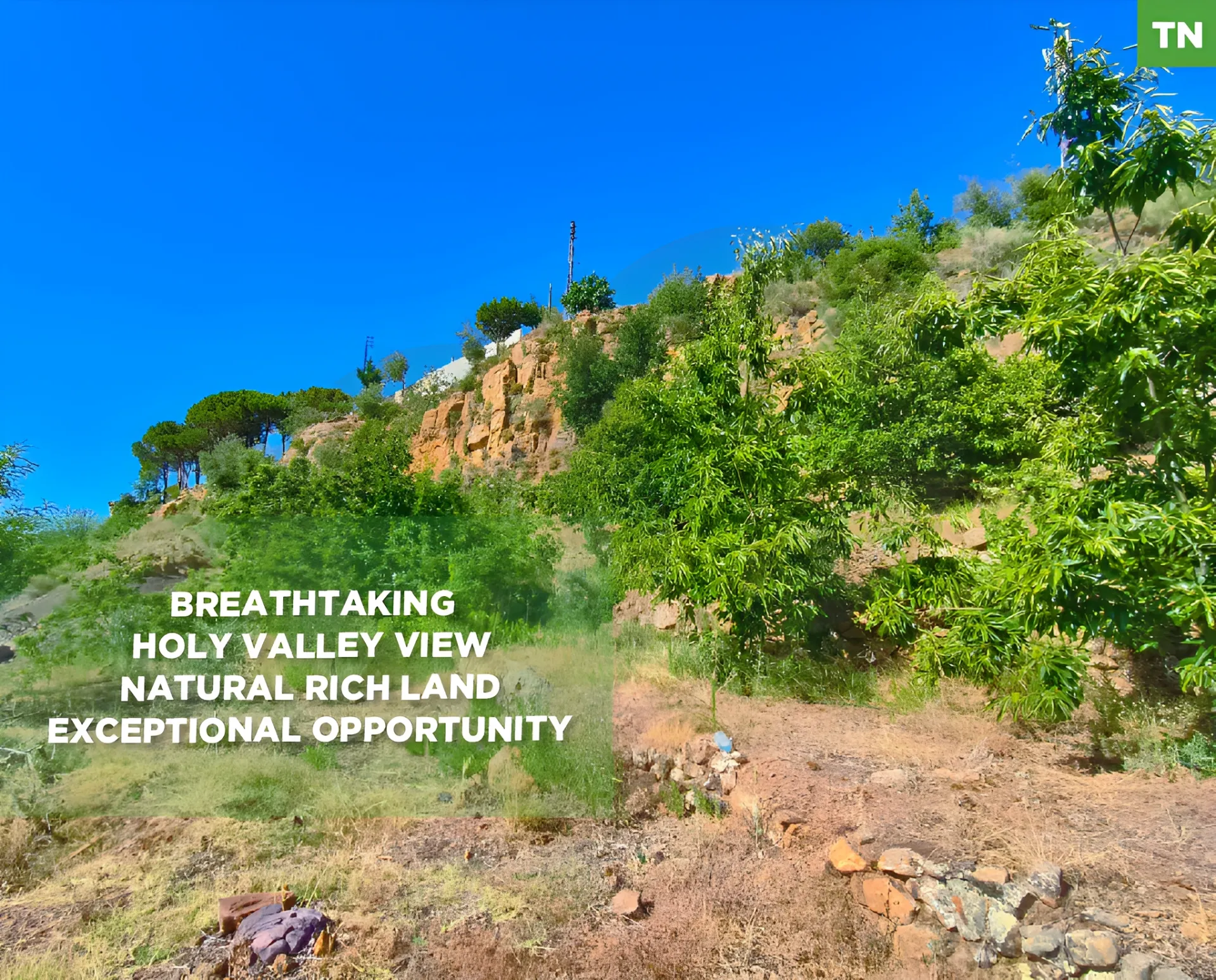 Land for Sale in Zgharta