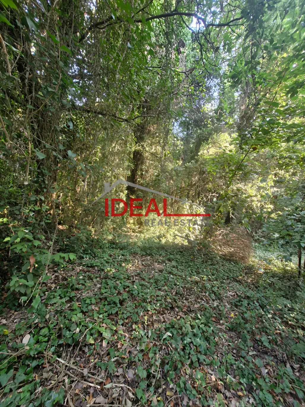 Residential Land for sale in Kfour, Lebanon