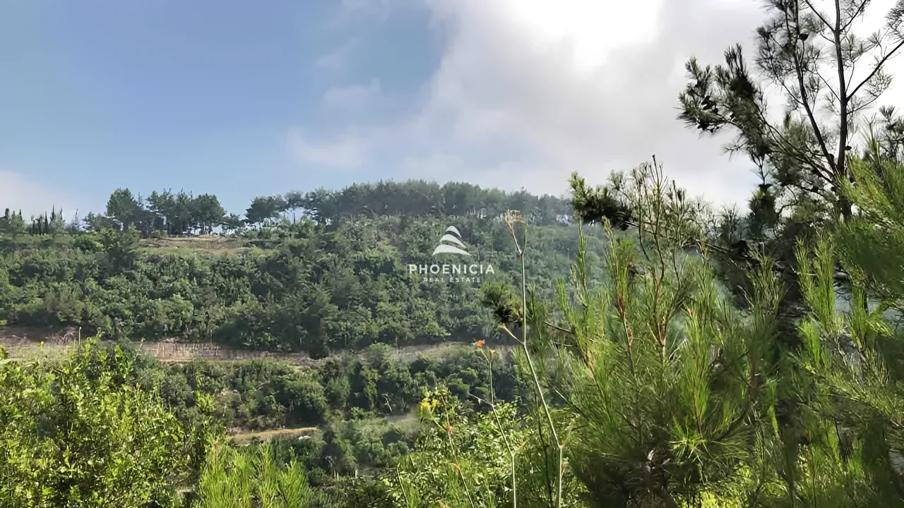 Land for Sale in Maaysrah